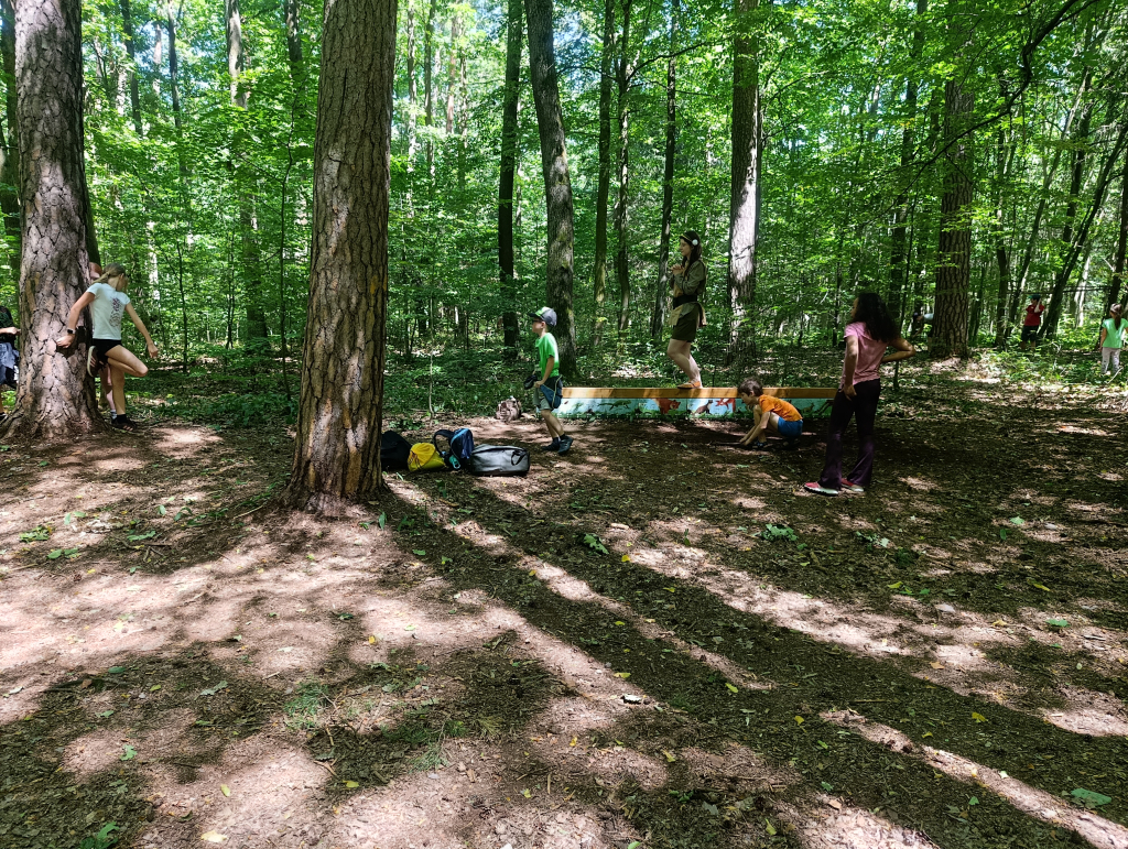 IMG_20260708_123915.jpg