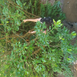20230715_133810.jpg