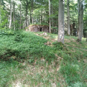 IMG-20230717-WA0024.jpg