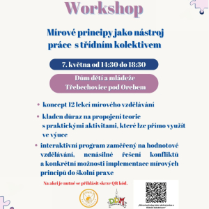 Mírové vzdělávání